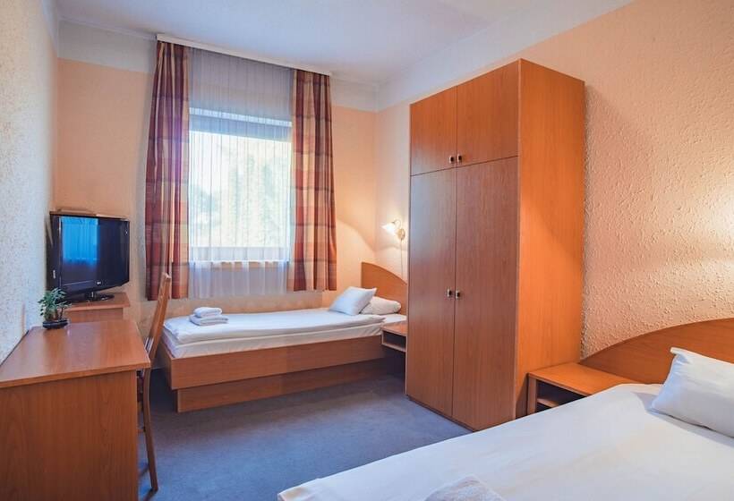 اتاق استاندارد, Homoky S Bestline