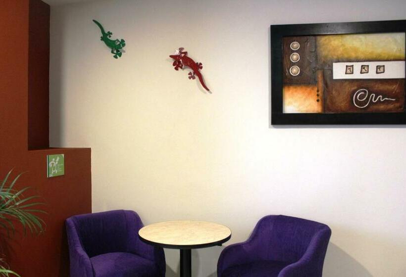 اتاق استاندارد, Leones