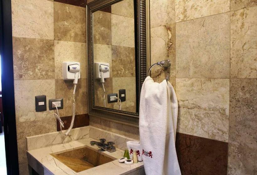 اتاق استاندارد, Leones