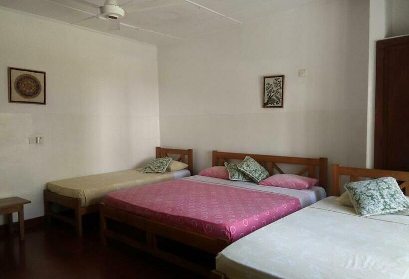 패밀리 룸, Mango Garden