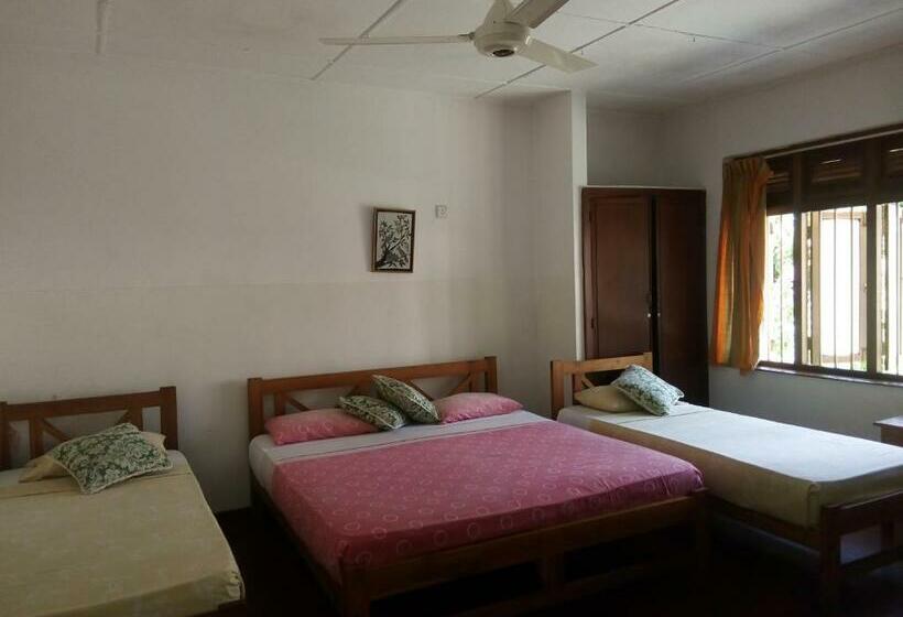 패밀리 룸, Mango Garden