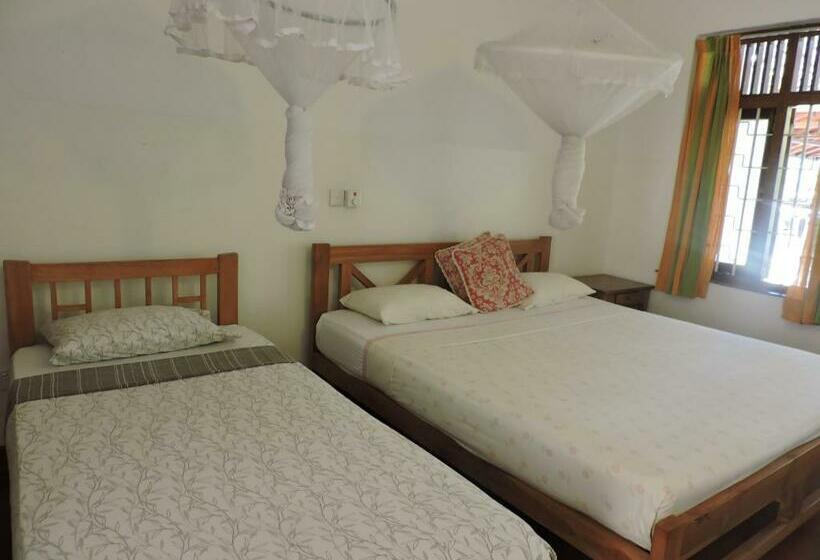 スタンダードトリプルルーム, Mango Garden