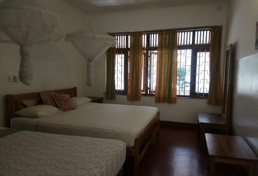 スタンダードトリプルルーム, Mango Garden