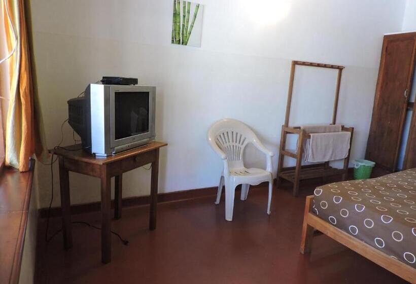 スタンダードルーム, Mango Garden