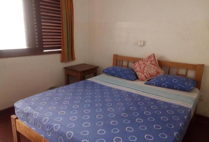 이코노미 룸, Mango Garden