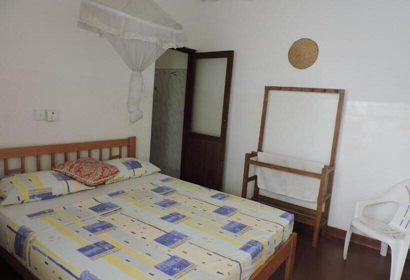 스탠다드 싱글 룸, Mango Garden