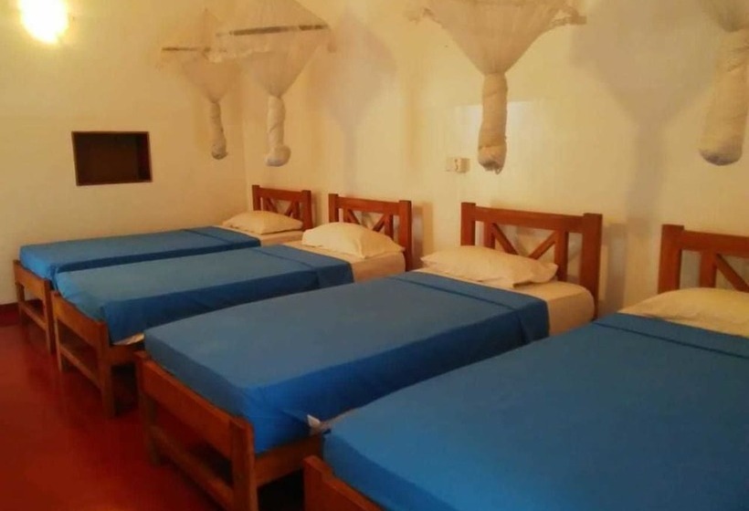 패밀리 룸, Mango Garden