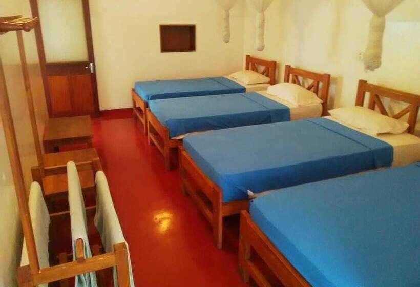 패밀리 룸, Mango Garden