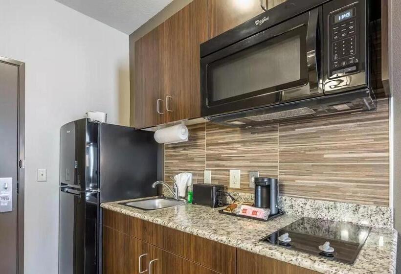 Номер Стандарт Кровать Кинг Адаптированный для Инвалидов, Suburban Studios Midland I20