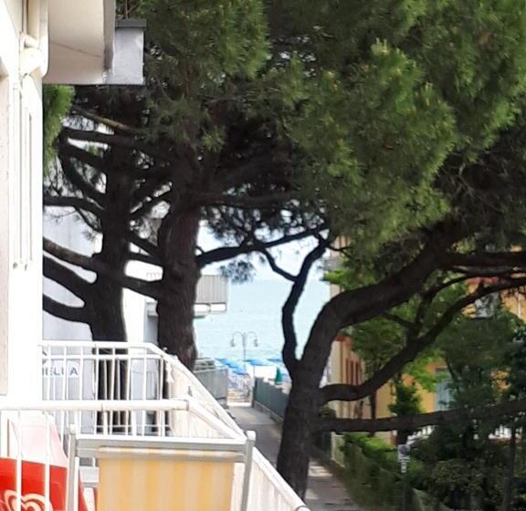스탠다드 싱글 룸, Villa Dina