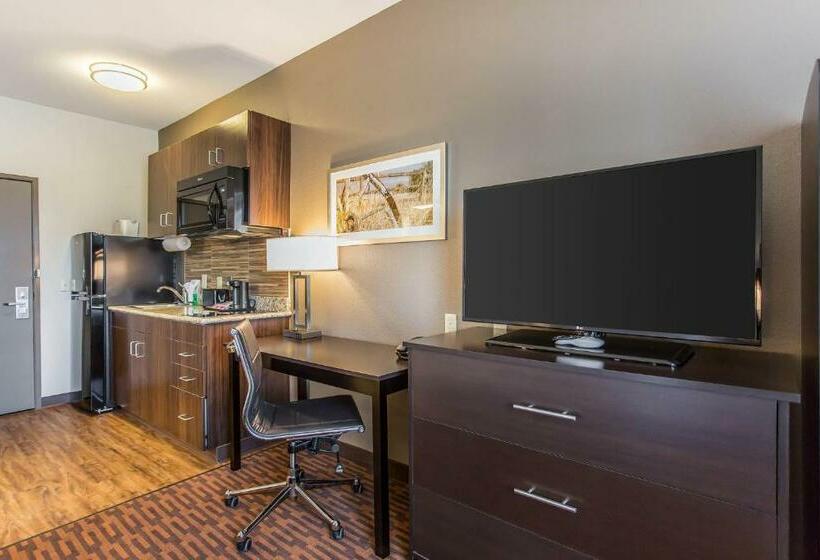 חדר סטנדרט, Suburban Studios Midland I20