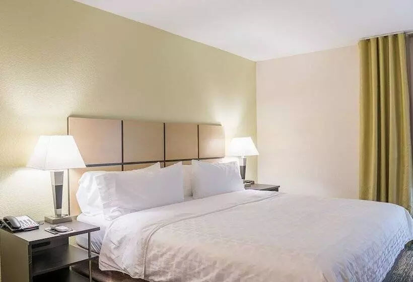 Sviitti Liikuntarajoitteisille, Candlewood Suites Bay City, An Ihg