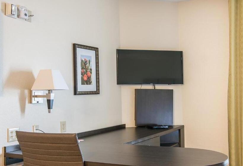 Студио Стандарт Кровать Кинг, Candlewood Suites Bay City, An Ihg