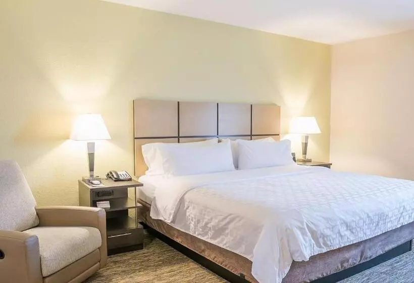 Standard-studio King-vuode, Candlewood Suites Bay City, An Ihg