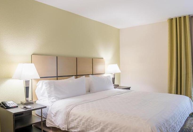 מיטת קינג בסוויטה, Candlewood Suites Bay City, An Ihg