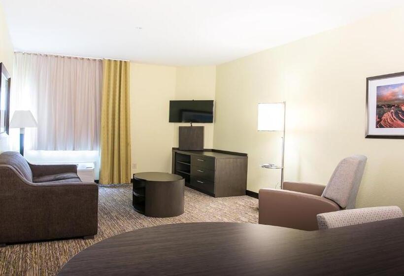 Номер Стандарт Кровать Кинг Адаптированный для Инвалидов, Candlewood Suites Bay City, An Ihg