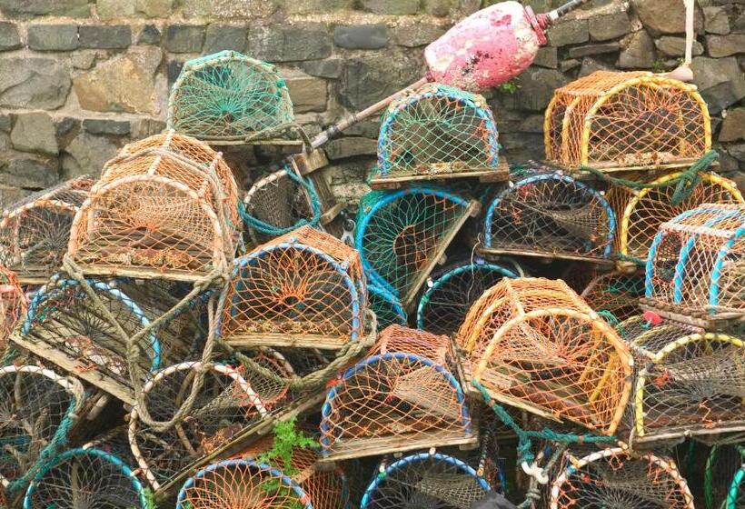 חדר סטנדרט, Links Lets Room Only