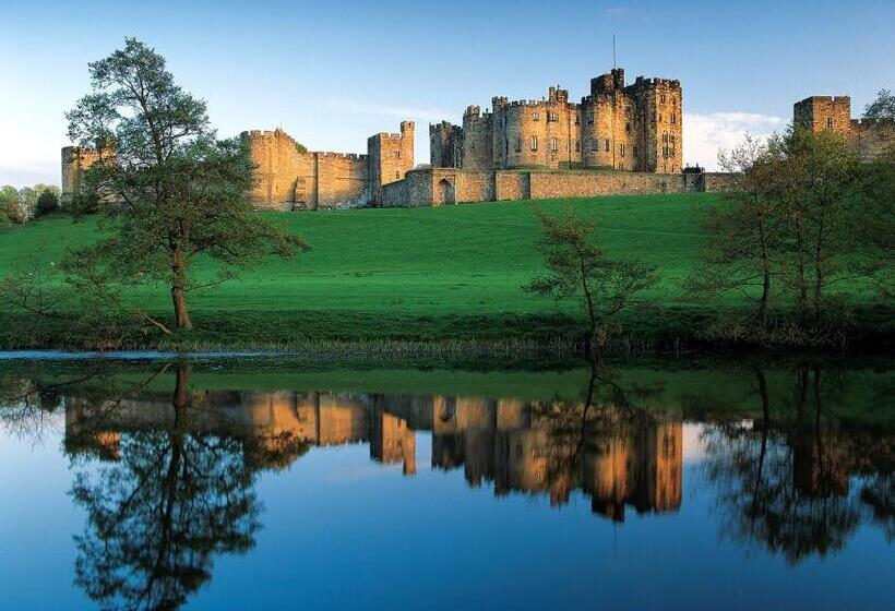 חדר סטנדרט, Links Lets Room Only