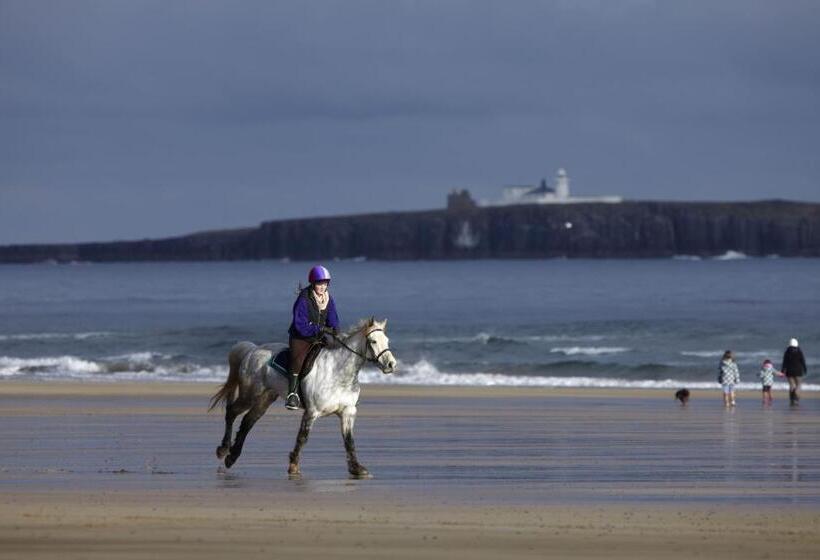 חדר סטנדרט, Links Lets Room Only