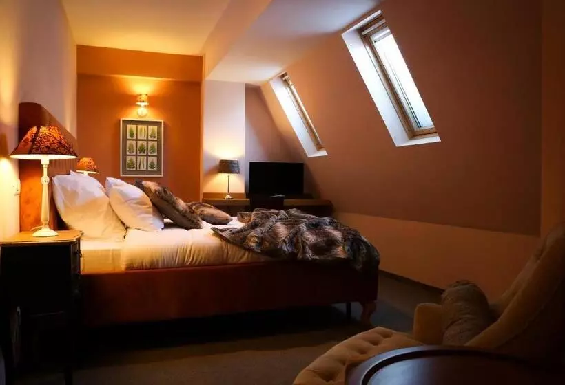 スタンダードルーム, Paj Hotelul Retreat & Spa