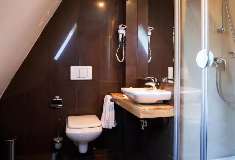 スタンダードルーム, Paj Hotelul Retreat & Spa