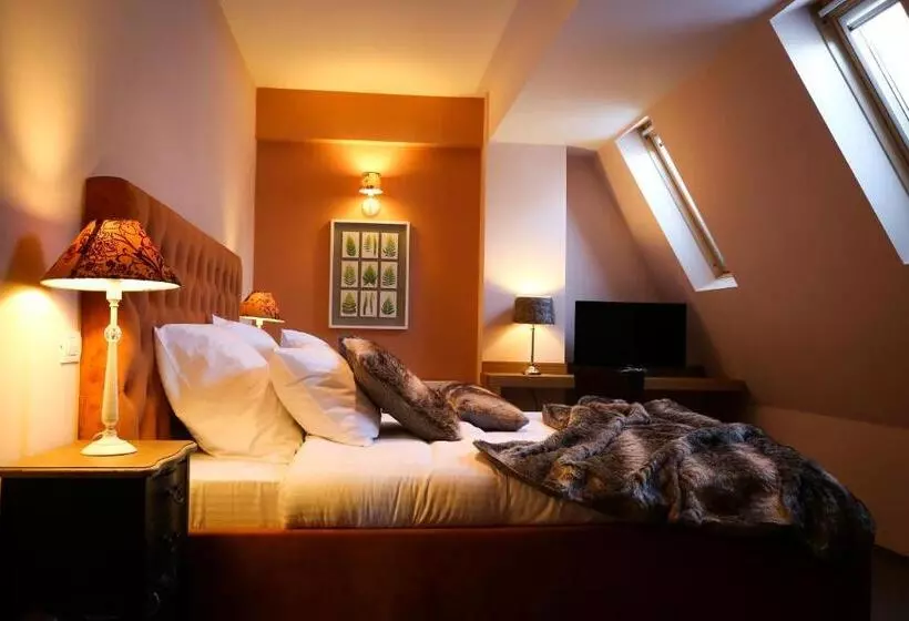 スタンダードルーム, Paj Hotelul Retreat & Spa