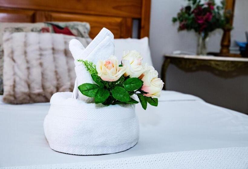 חדר דלוקס, Woodpecker Guesthouse