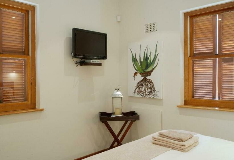 חדר אקונומי, Yellow Aloe