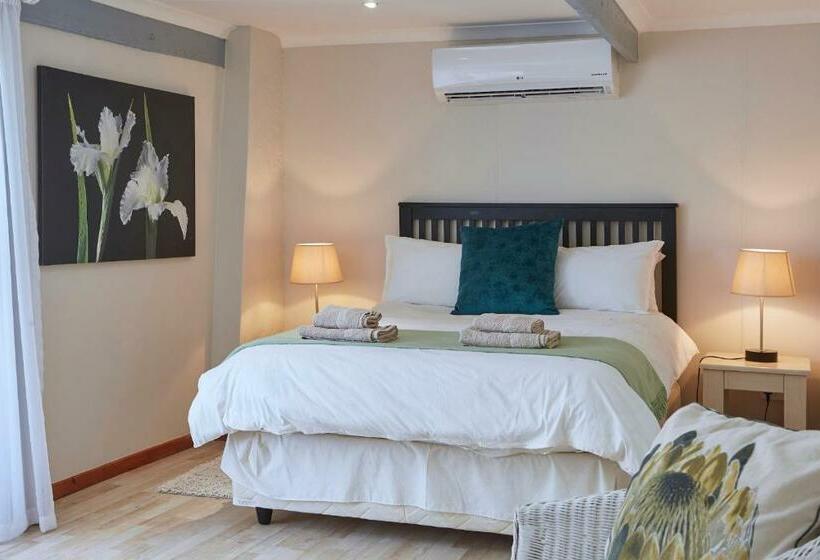 חדר משפחתי, Yellow Aloe