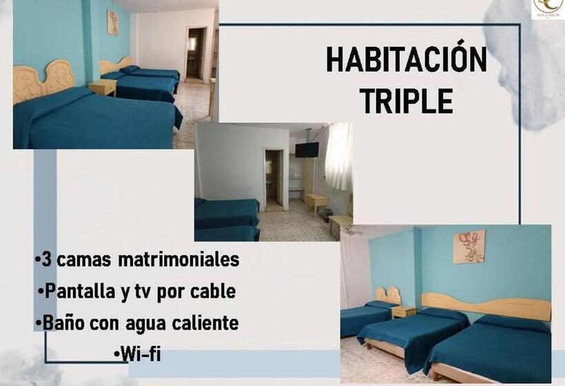 חדר משפתחתי סופריור, San Carlos