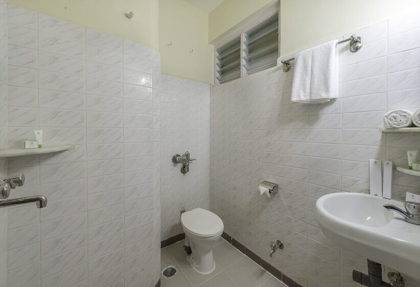 스탠다드 룸, Treebo Green Park