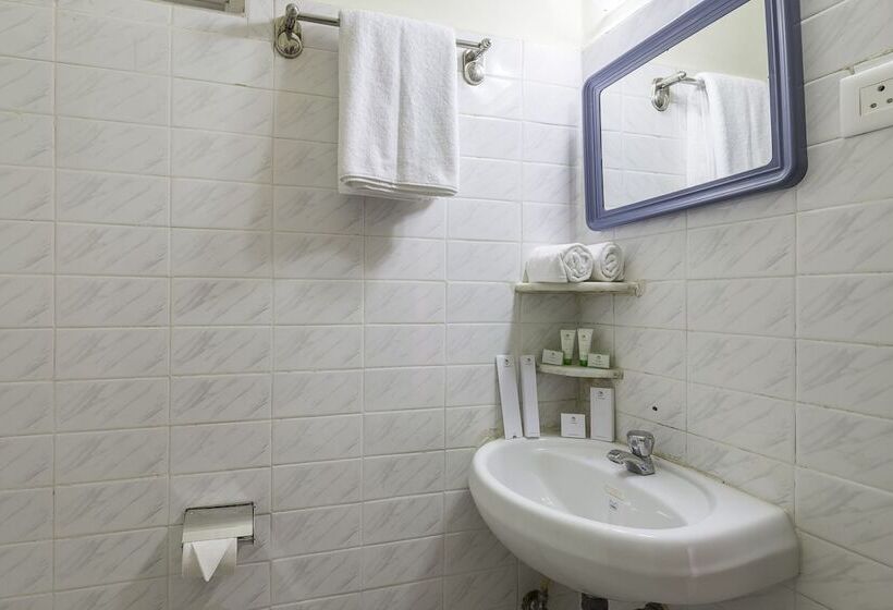 스탠다드 룸, Treebo Green Park