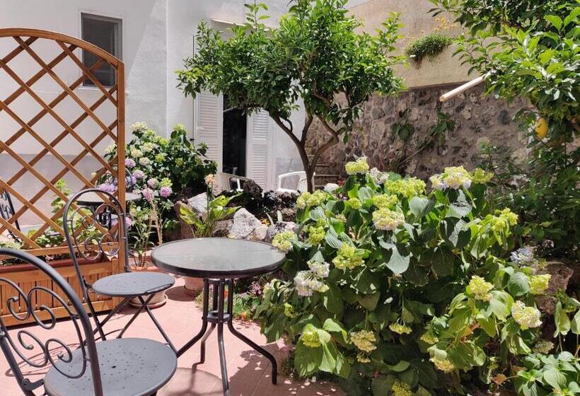 اتاق اکونومی, Villa Cecilia