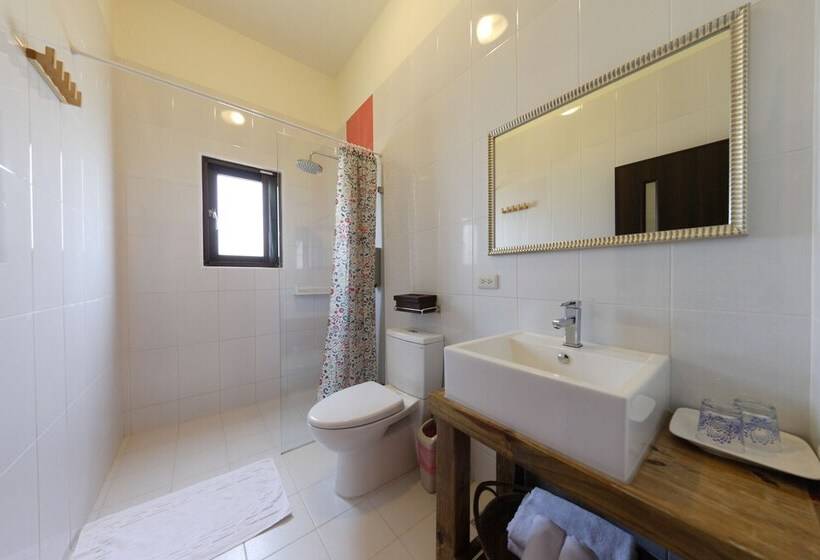 اتاق رمانتیک, Ibali Hostel