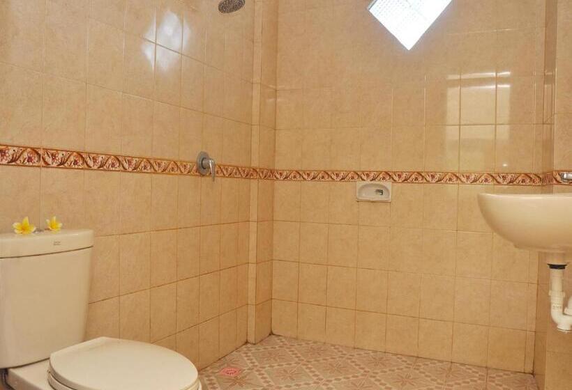 Camera Standard, Depa House