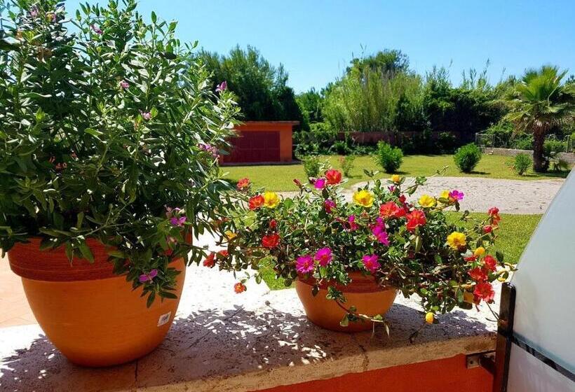 آپارتمان 1 خوابه با تراس, Regina Beach Holiday Apartments