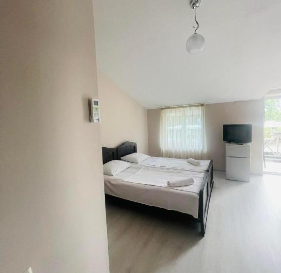 اتاق استاندارد سه تخته با بالکن, Albatros Shekvetili