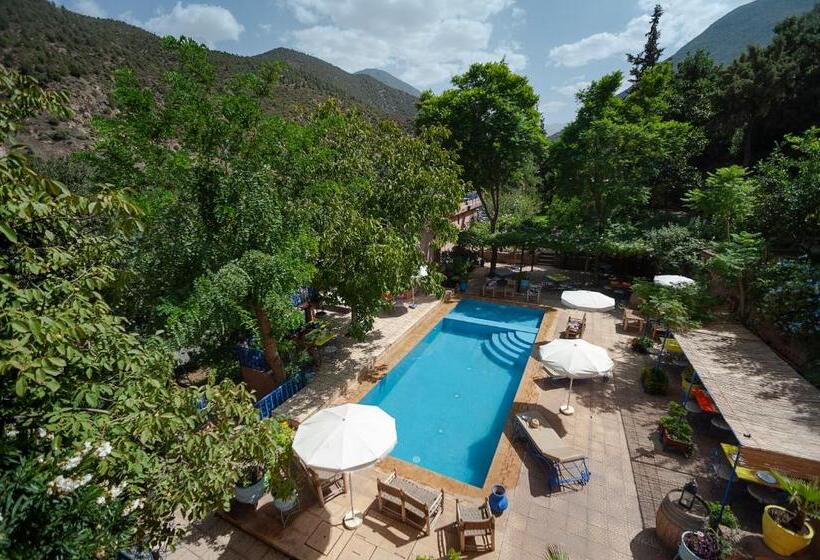 Люкс с Террасой, Auberge Le Maquis