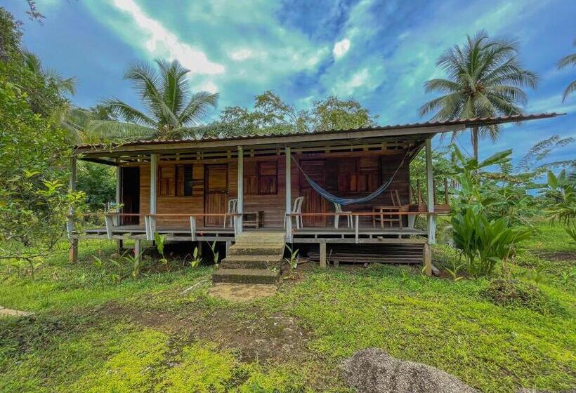 Номер Стандарт, Posada Don Aí