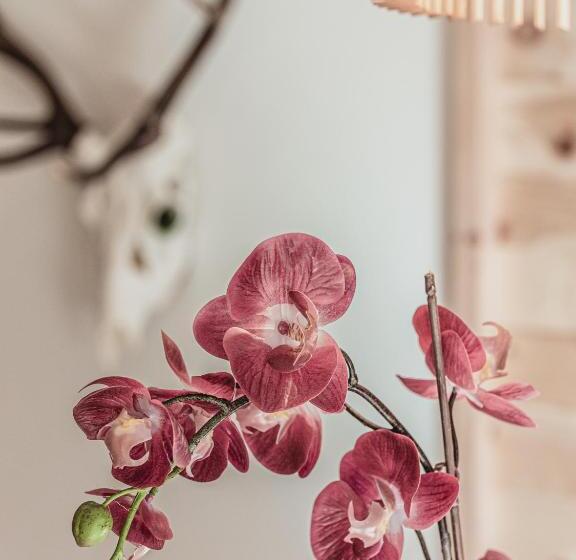 Люкс Повышенной Комфортности, Gästehaus Waldruh