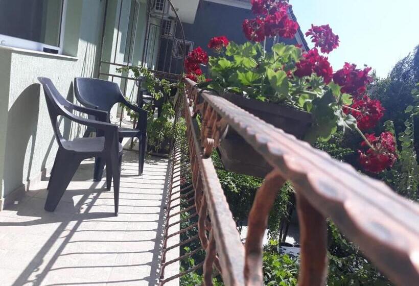 Camera Standard con Balcone, Pensiunea Smarald