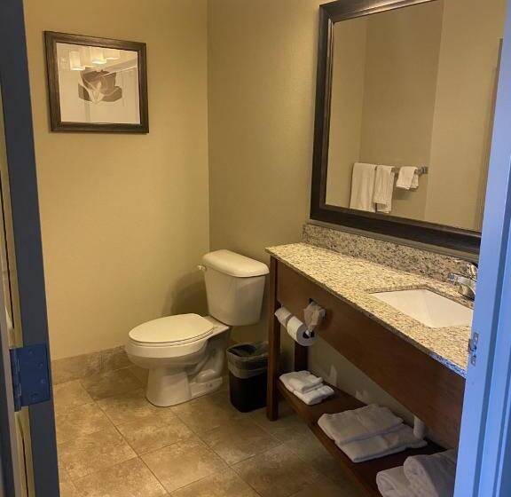 스위트 킹사이즈 침대, Americinn By Wyndham Hartford Sd