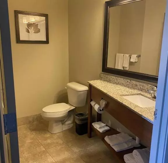キングサイズベッドのデラックススイート, Americinn By Wyndham Hartford Sd