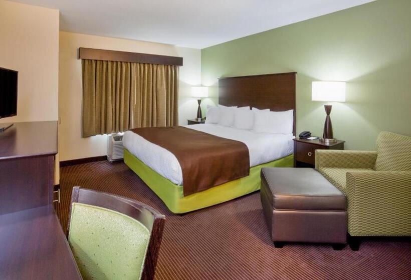 장애인을 위한 킹사이즈 침대 스탠다드 룸, Americinn By Wyndham Hartford Sd