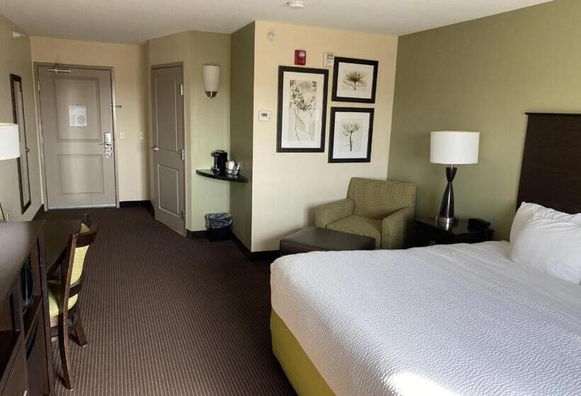 חדר סטנדרט, מיטת קינג, מותאם לאדם עם מוגבלויות, Americinn By Wyndham Hartford Sd