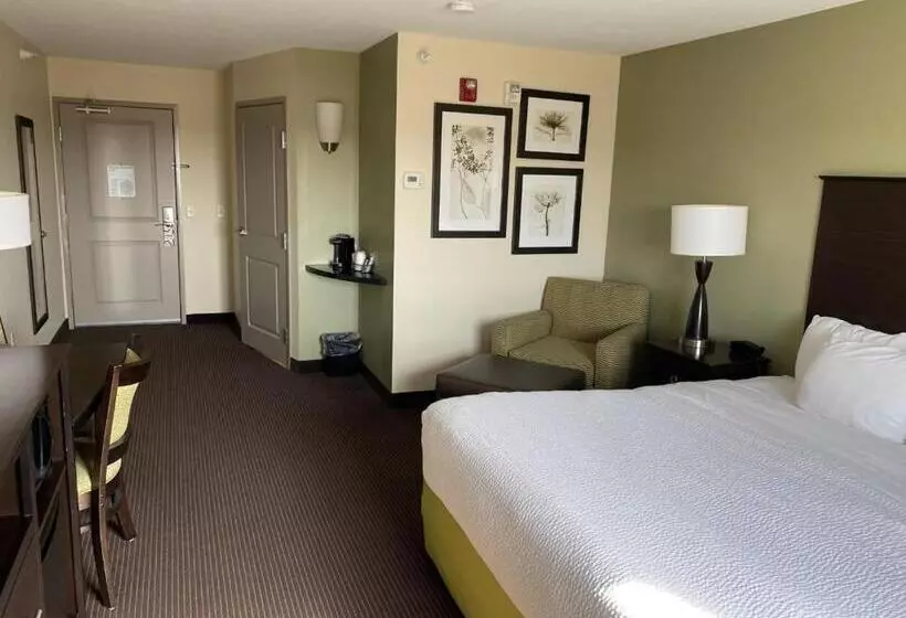 身障者適用キングサイズベッドルーム, Americinn By Wyndham Hartford Sd