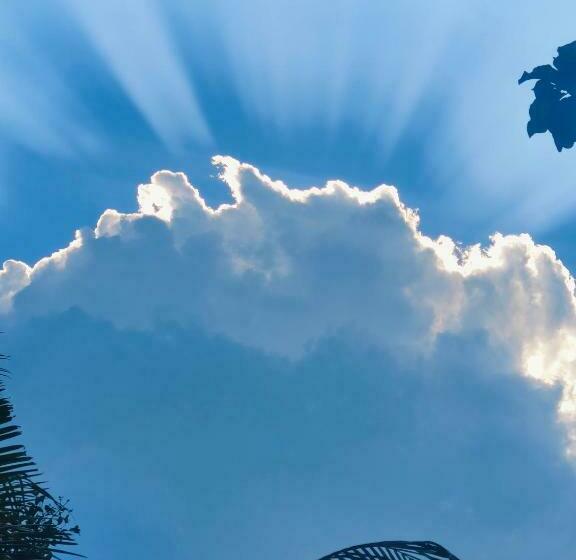 غرفة ديلوكس, Emerald Inn