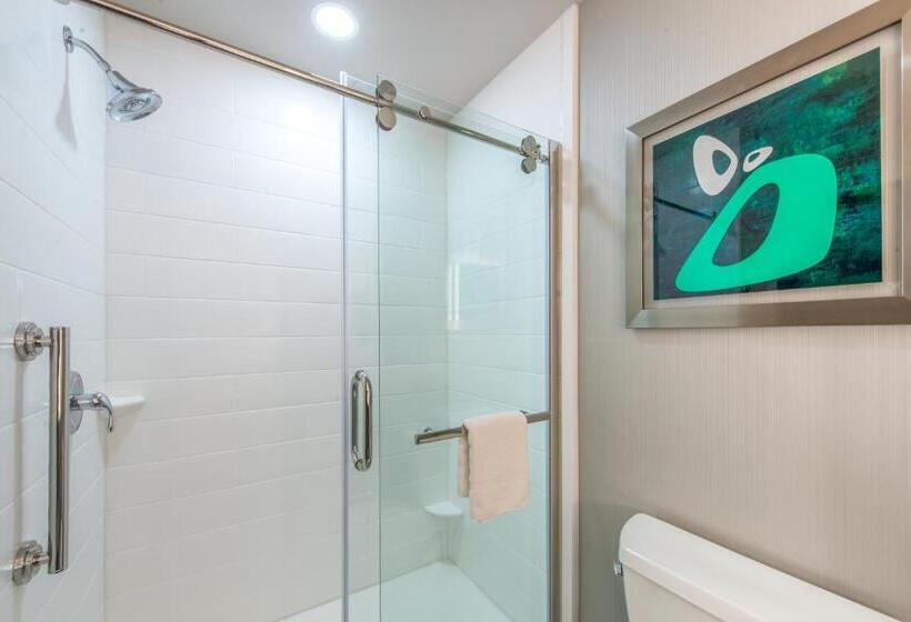 غرفة قياسية سرير كينج لذوى الإحتياجات الخاصة, Holiday Inn Express Shawnee, An Ihg