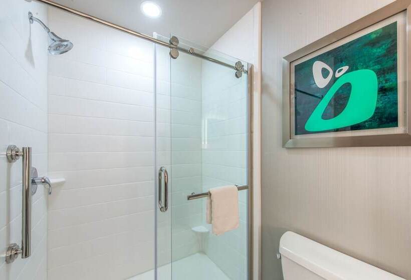 جناح لذوى الاحتياجات الخاصة, Holiday Inn Express Shawnee, An Ihg