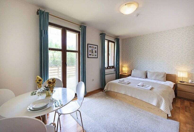 Standard Studio, Mountain View Apart